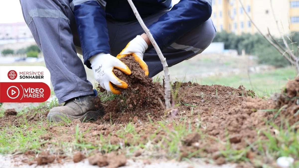 TOROSLAR BELEDİYESİ, YEŞİL DOKUYU G&Uuml;&Ccedil;LENDİREN &Ccedil;ALIŞMALARINI S&Uuml;RD&Uuml;R&Uuml;YOR