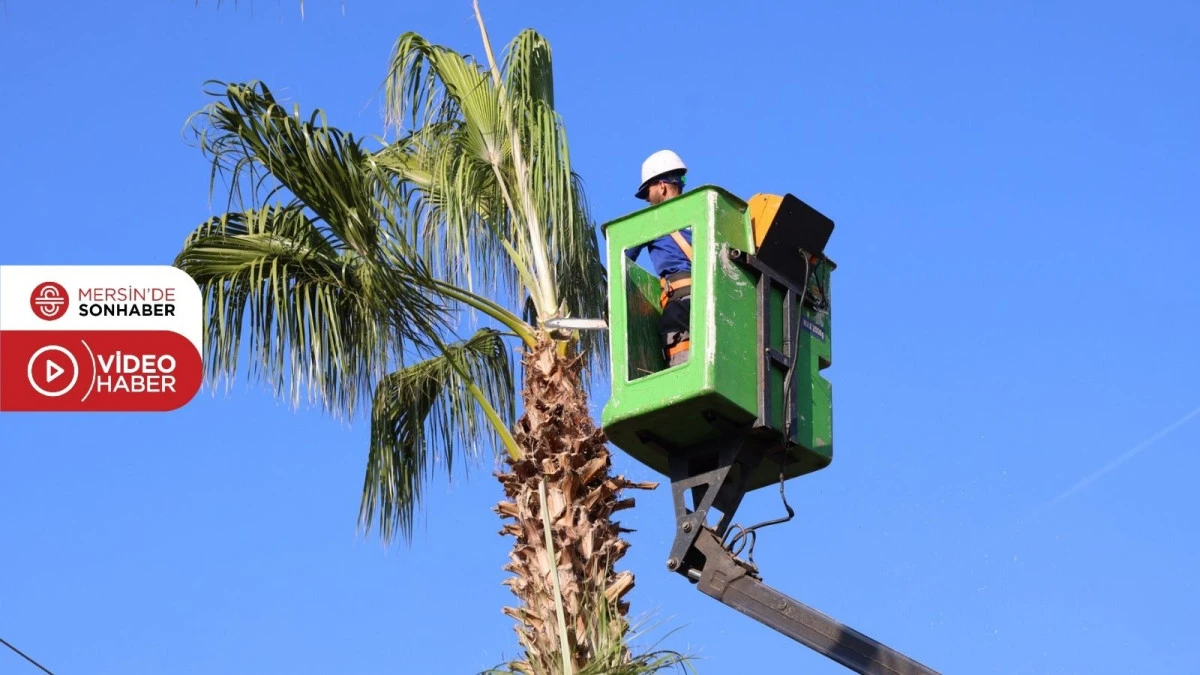 TOROSLAR BELEDİYESİNDEN AĞAÇLARA KIŞ BAKIMI