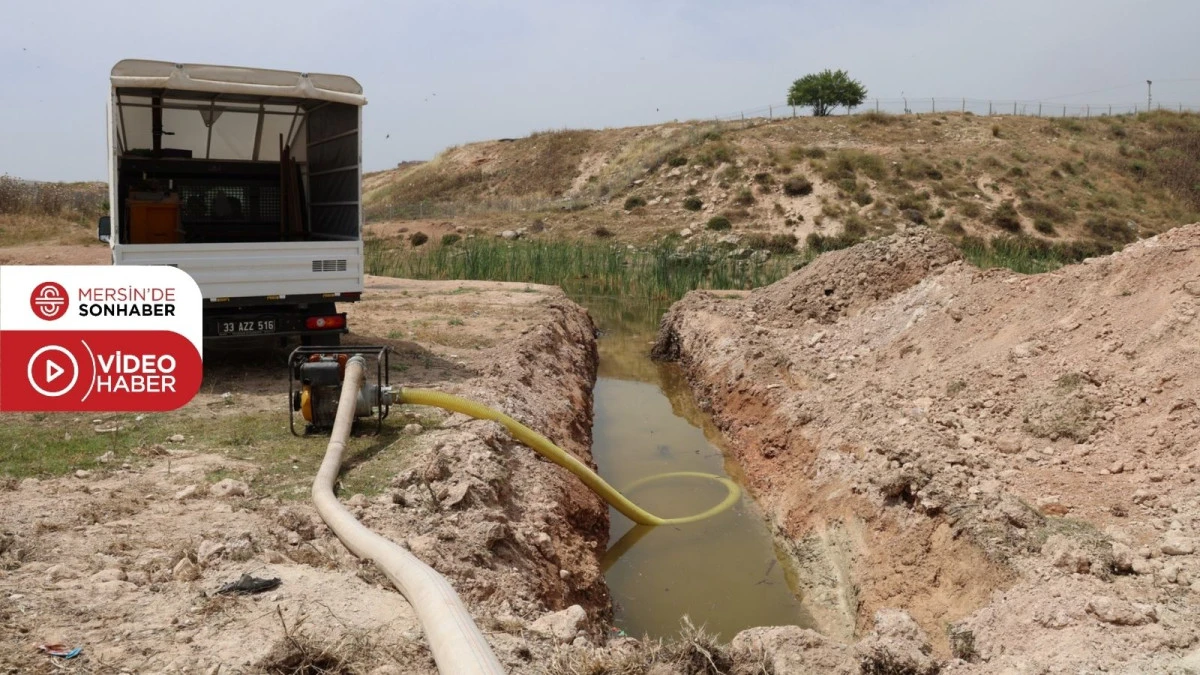 TOROSLAR’DA KADERİNE TERK EDİLEN GÖLET ALANINDA ISLAH ÇALIŞMALARINA BAŞLANDI