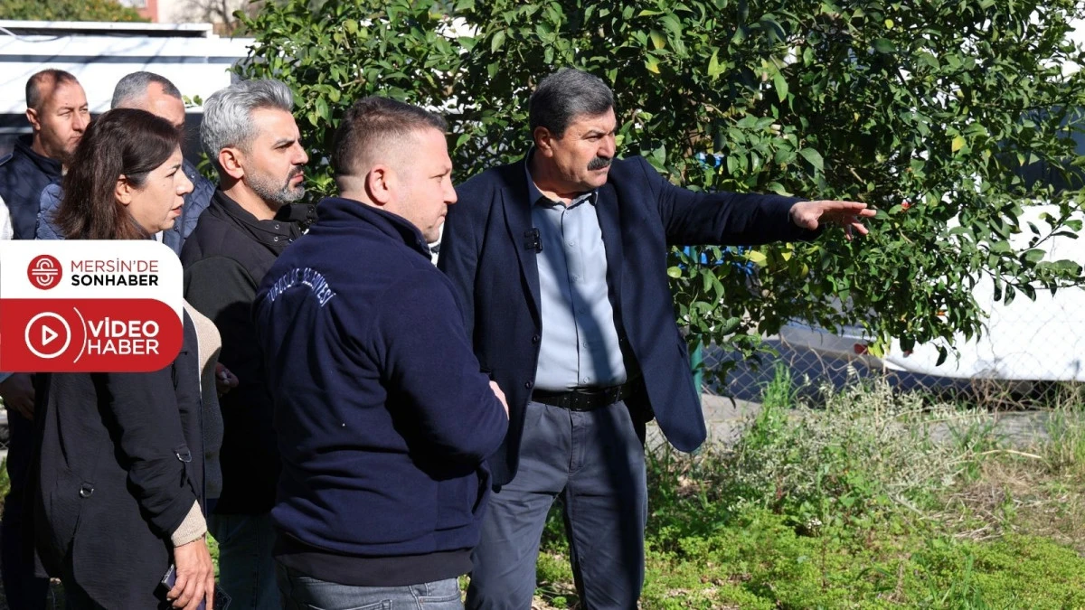 TOROSLAR&rsquo;DA KAMUSAL ALANLAR İŞGALDEN TEMİZLENİYOR