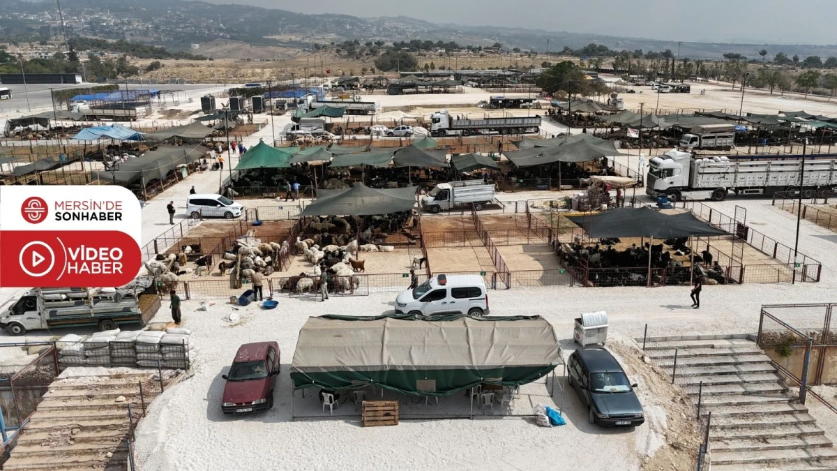 TOROSLAR’DA KURBAN BAYRAMI HAZIRLIKLARI TAMAMLANDI 