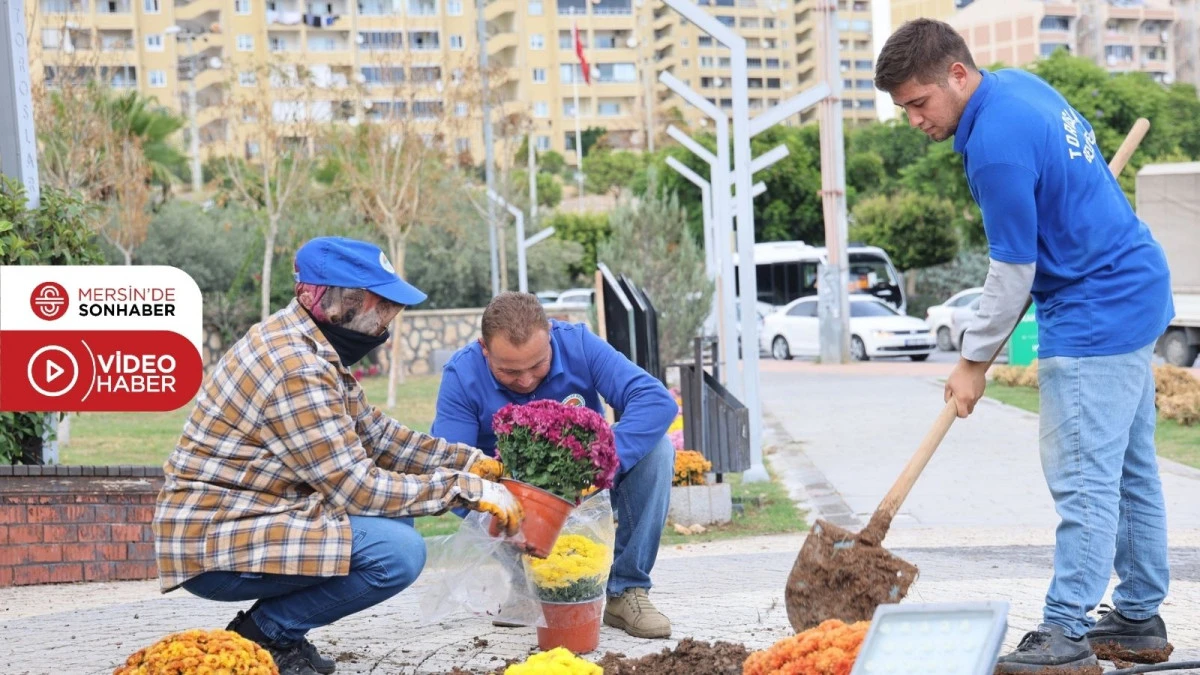 TOROSLAR’IN YEŞİL ALANLARI KASIMPATI İLE RENKLENDİ
