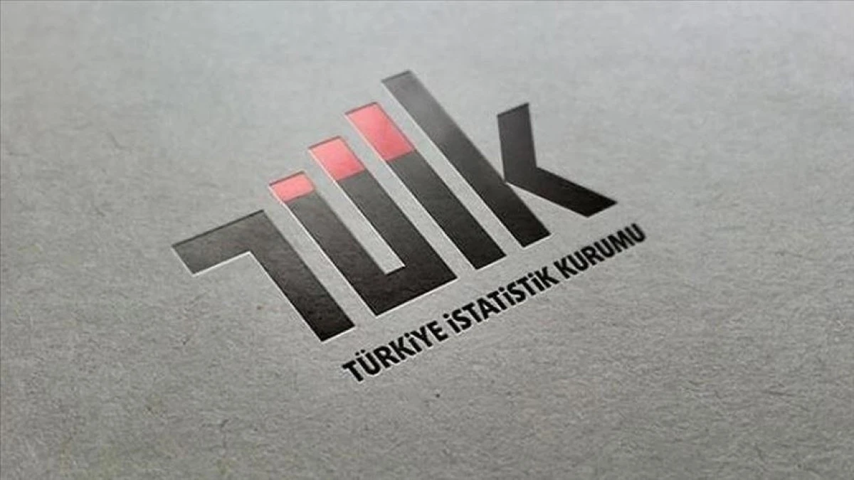 TURİZM GELİRİ GE&Ccedil;EN YILIN AYNI &Ccedil;EYREĞİNE G&Ouml;RE %2,6 AZALDI