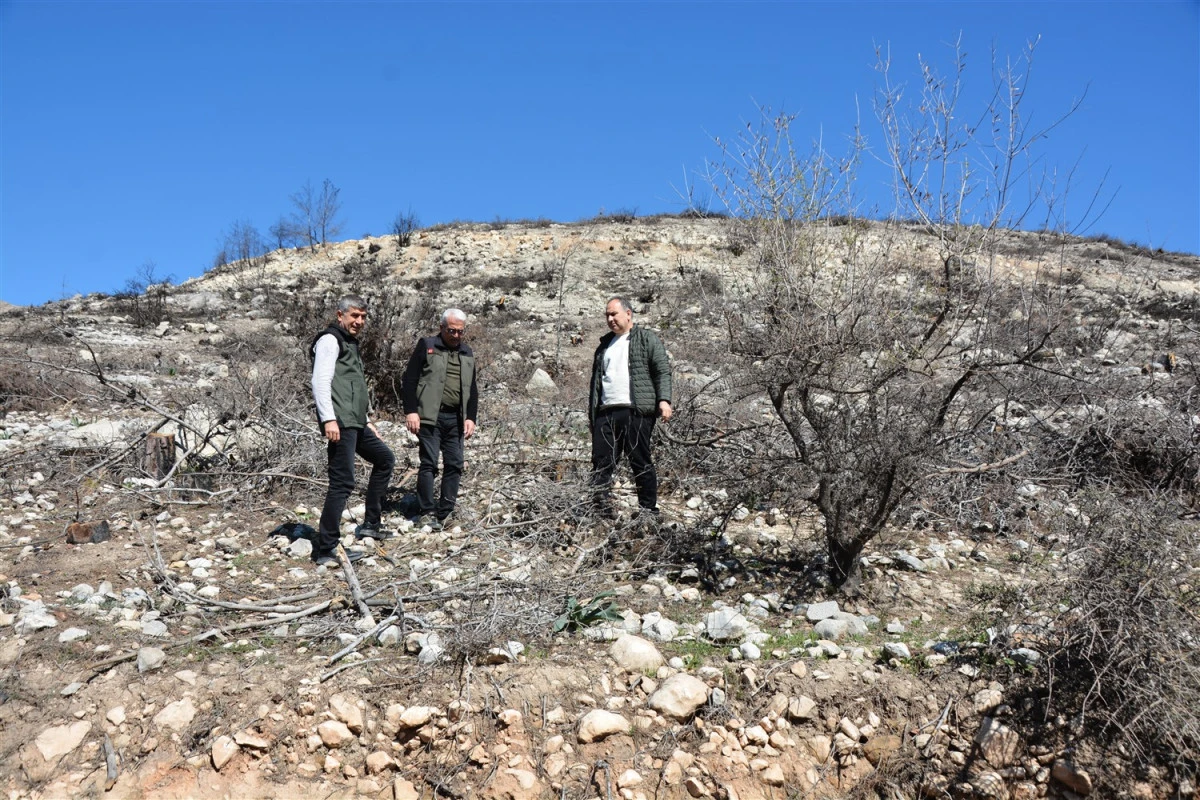 YANAN SAHALARDA İLK &Ccedil;İMLENMELER G&Ouml;R&Uuml;LMEYE BAŞLADI