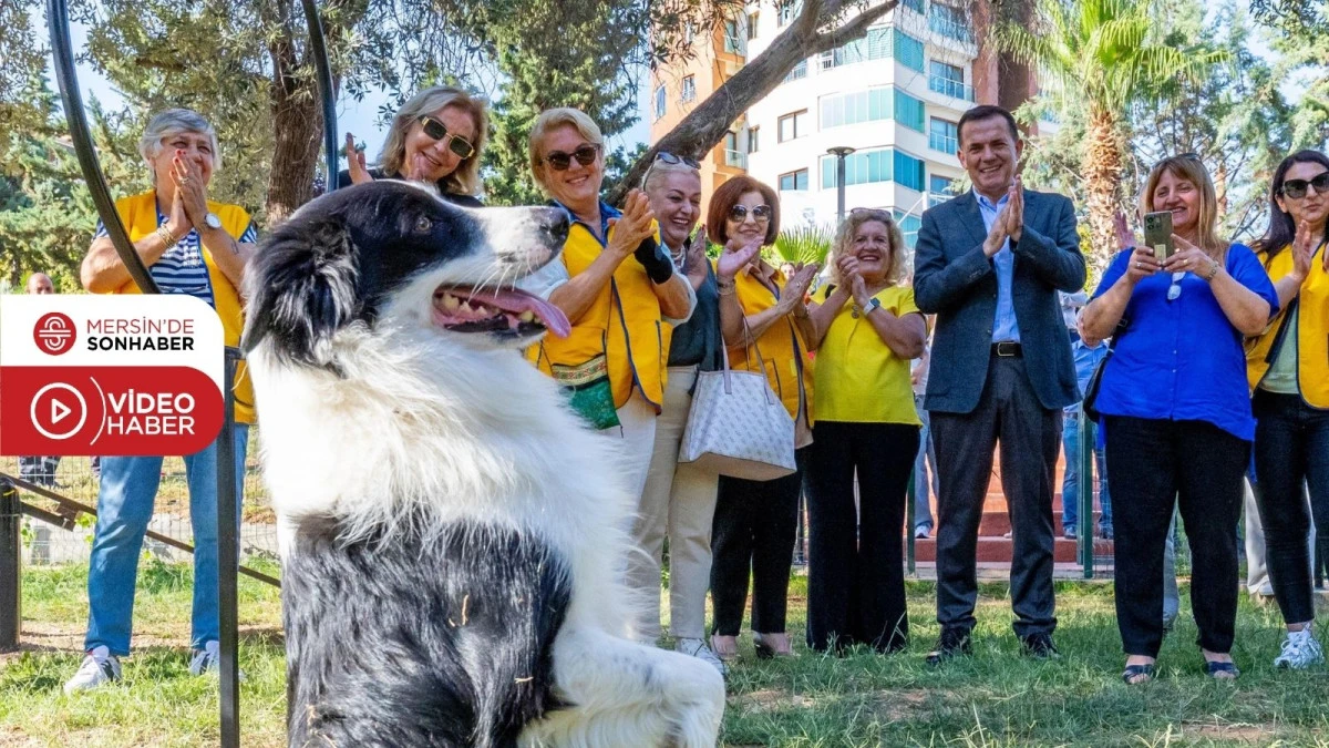 YENİŞEHİR BELEDİYESİNDEN PATİLİ DOSTLARA ÖZEL PARK