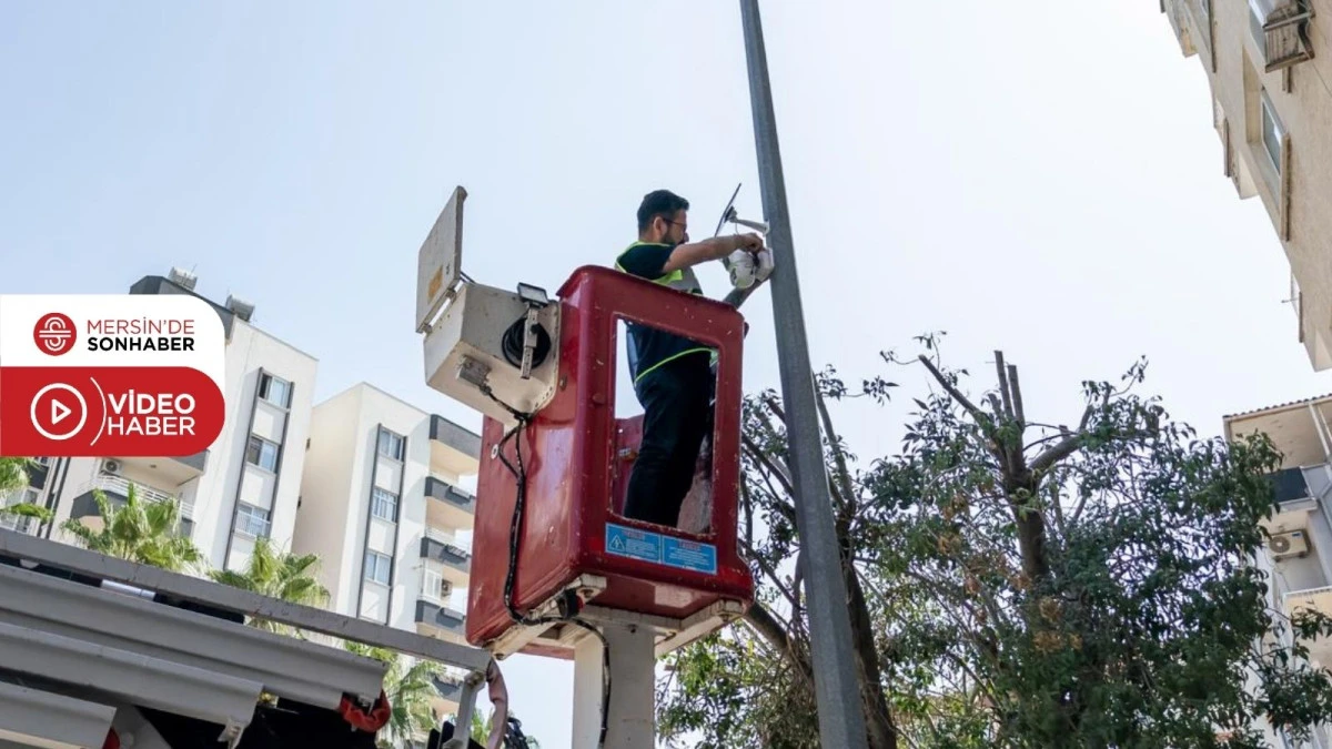 YENİŞEHİR&rsquo;DE &Ccedil;&Ouml;P DEDEKTİFLERİ İŞ BAŞINDA