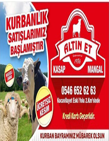 ALTINET