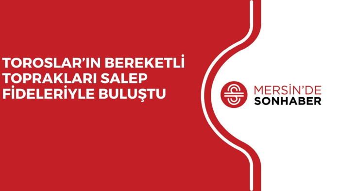 TOROSLAR’IN BEREKETLİ TOPRAKLARI SALEP FİDELERİYLE BULUŞTU