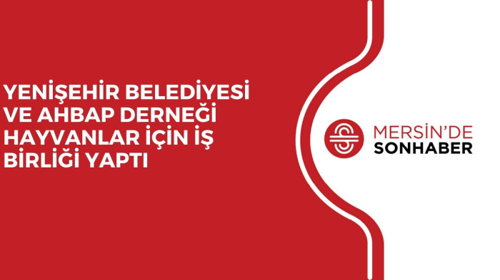 YENİŞEHİR BELEDİYESİ VE AHBAP DERNEĞİ HAYVANLAR İÇİN İŞ BİRLİĞİ YAPTI