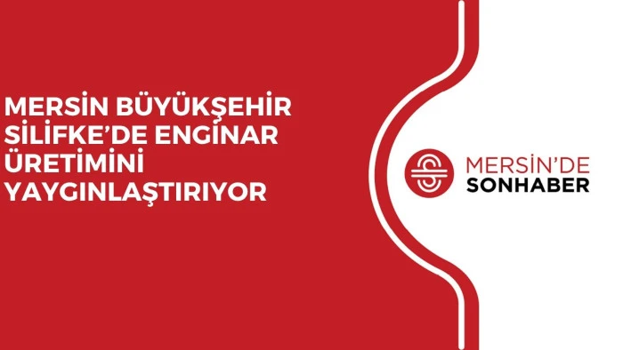 MERSİN B&Uuml;Y&Uuml;KŞEHİR SİLİFKE&rsquo;DE ENGİNAR &Uuml;RETİMİNİ YAYGINLAŞTIRIYOR