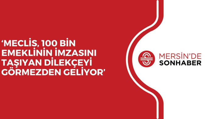 ‘MECLİS, 100 BİN EMEKLİNİN İMZASINI TAŞIYAN DİLEKÇEYİ GÖRMEZDEN GELİYOR’
