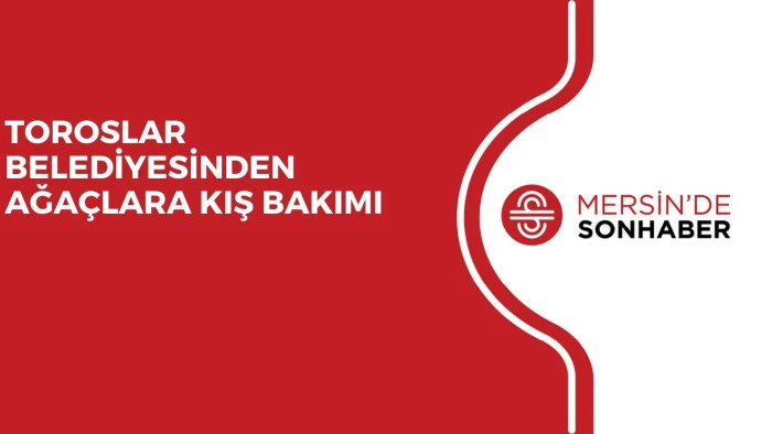 TOROSLAR BELEDİYESİNDEN AĞAÇLARA KIŞ BAKIMI