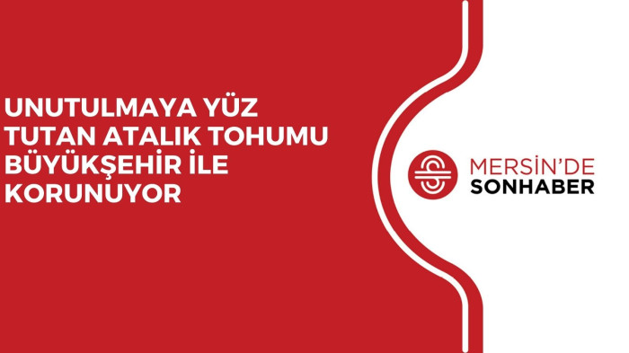 UNUTULMAYA YÜZ TUTAN ATALIK TOHUMU BÜYÜKŞEHİR İLE KORUNUYOR