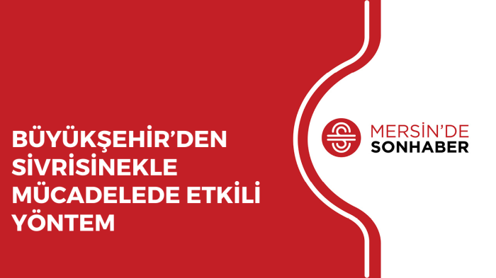 BÜYÜKŞEHİR’DEN SİVRİSİNEKLE MÜCADELEDE ETKİLİ YÖNTEM