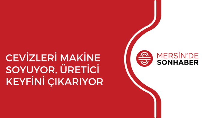 CEVİZLERİ MAKİNE SOYUYOR, ÜRETİCİ KEYFİNİ ÇIKARIYOR