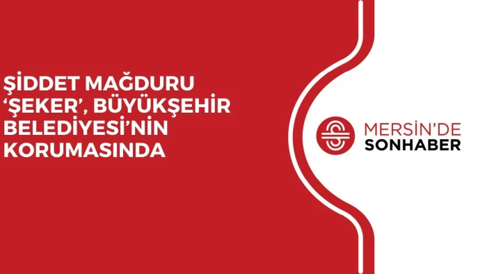 ŞİDDET MAĞDURU ‘ŞEKER’, BÜYÜKŞEHİR BELEDİYESİ’NİN KORUMASINDA