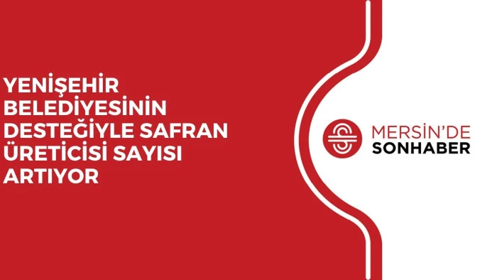YENİŞEHİR BELEDİYESİNİN DESTEĞİYLE SAFRAN ÜRETİCİSİ SAYISI ARTIYOR