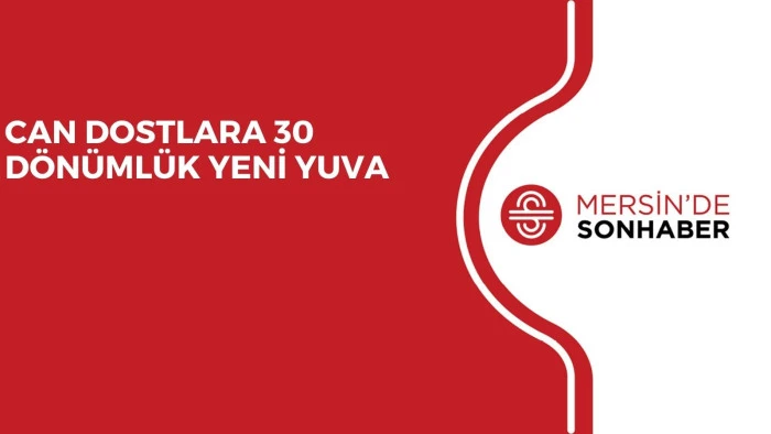 CAN DOSTLARA 30 DÖNÜMLÜK YENİ YUVA 