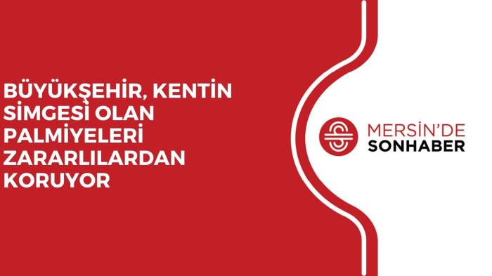 BÜYÜKŞEHİR, KENTİN SİMGESİ OLAN PALMİYELERİ ZARARLILARDAN KORUYOR 