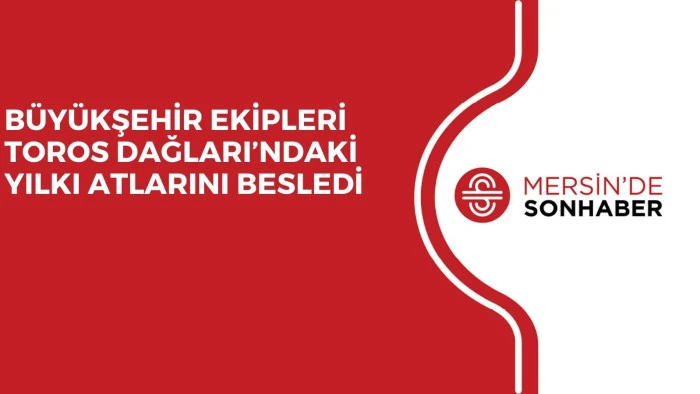 BÜYÜKŞEHİR EKİPLERİ TOROS DAĞLARI’NDAKİ YILKI ATLARINI BESLEDİ 