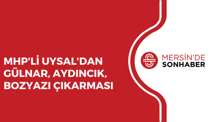 MHP'Lİ UYSAL'DAN GÜLNAR, AYDINCIK, BOZYAZI ÇIKARMASI