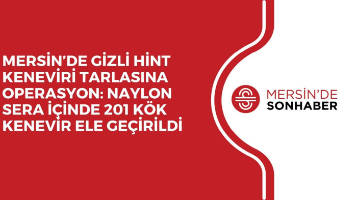 MERSİN’DE GİZLİ HİNT KENEVİRİ TARLASINA OPERASYON: NAYLON SERA İÇİNDE 201 KÖK KENEVİR ELE GEÇİRİLDİ