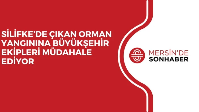 SİLİFKE’DE ÇIKAN ORMAN YANGININA BÜYÜKŞEHİR EKİPLERİ MÜDAHALE EDİYOR 