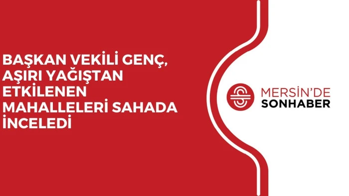 BAŞKAN VEKİLİ GEN&Ccedil;, AŞIRI YAĞIŞTAN ETKİLENEN MAHALLELERİ SAHADA İNCELEDİ