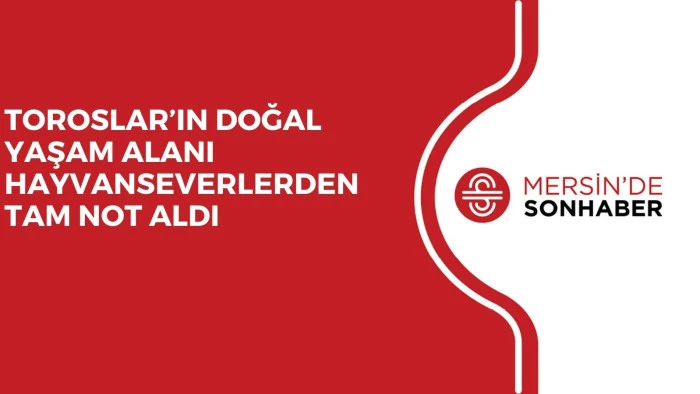 TOROSLAR’IN DOĞAL YAŞAM ALANI HAYVANSEVERLERDEN TAM NOT ALDI