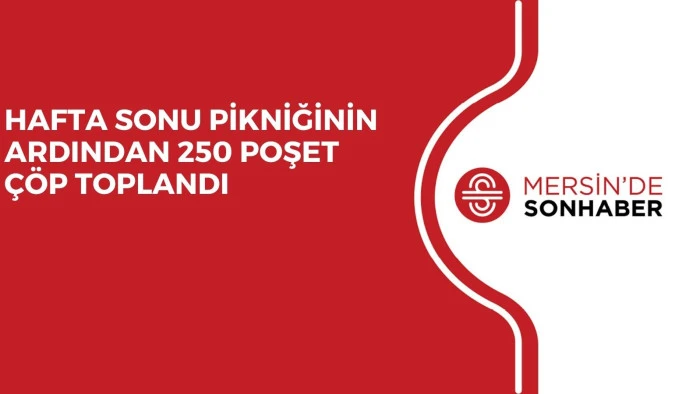 HAFTA SONU PİKNİĞİNİN ARDINDAN 250 POŞET &Ccedil;&Ouml;P TOPLANDI