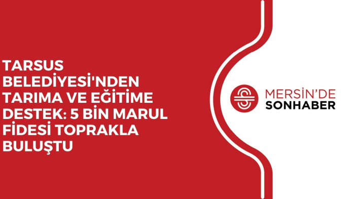 TARSUS BELEDİYESİ'NDEN TARIMA VE EĞİTİME DESTEK: 5 BİN MARUL FİDESİ TOPRAKLA BULUŞTU