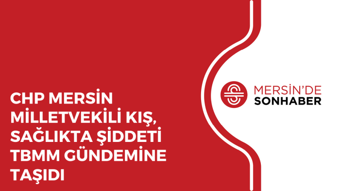 CHP MERSİN MİLLETVEKİLİ KIŞ, SAĞLIKTA ŞİDDETİ TBMM GÜNDEMİNE TAŞIDI