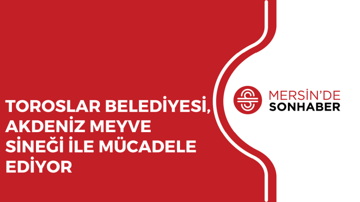 TOROSLAR BELEDİYESİ, AKDENİZ MEYVE SİNEĞİ İLE MÜCADELE EDİYOR