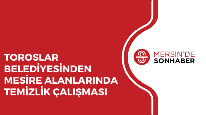 TOROSLAR BELEDİYESİNDEN MESİRE ALANLARINDA TEMİZLİK ÇALIŞMASI