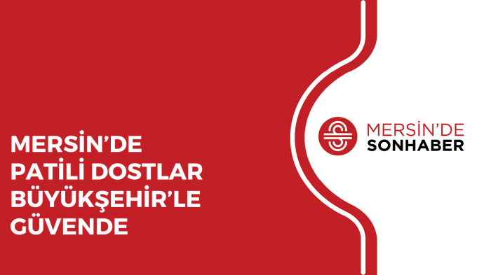 MERSİN’DE PATİLİ DOSTLAR BÜYÜKŞEHİR’LE GÜVENDE