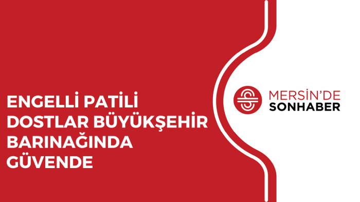 ENGELLİ PATİLİ DOSTLAR BÜYÜKŞEHİR BARINAĞINDA GÜVENDE