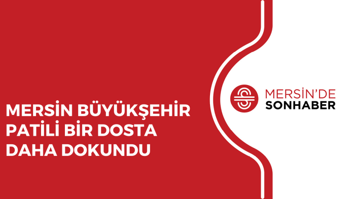 MERSİN BÜYÜKŞEHİR PATİLİ BİR DOSTA DAHA DOKUNDU