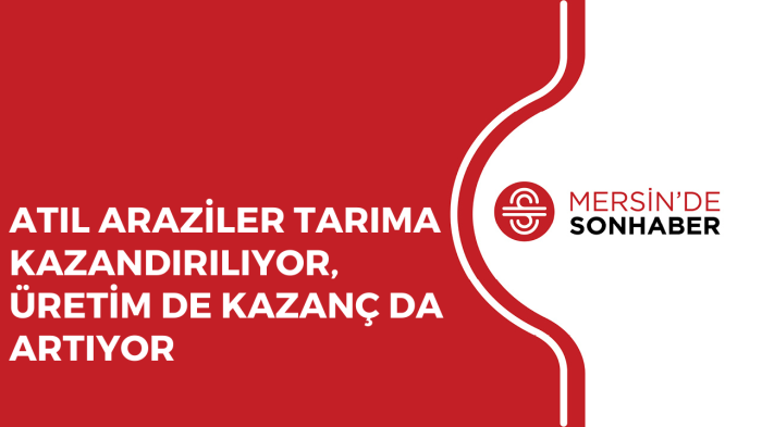 ATIL ARAZİLER TARIMA KAZANDIRILIYOR, ÜRETİM DE KAZANÇ DA ARTIYOR