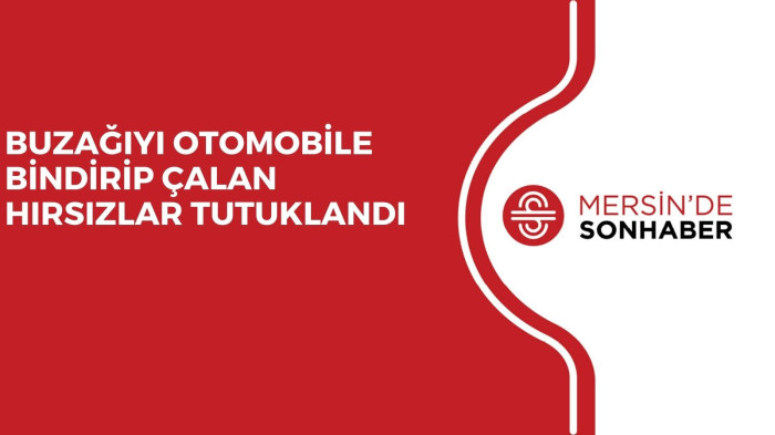 BUZAĞIYI OTOMOBİLE BİNDİRİP ÇALAN HIRSIZLAR TUTUKLANDI