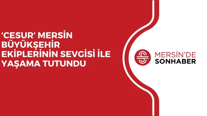 &lsquo;CESUR&rsquo; MERSİN B&Uuml;Y&Uuml;KŞEHİR EKİPLERİNİN SEVGİSİ İLE YAŞAMA TUTUNDU