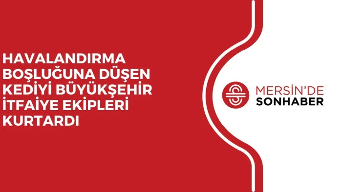 HAVALANDIRMA BOŞLUĞUNA D&Uuml;ŞEN KEDİYİ B&Uuml;Y&Uuml;KŞEHİR İTFAİYE EKİPLERİ KURTARDI