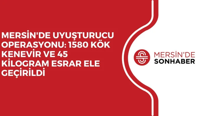 MERSİN'DE UYUŞTURUCU OPERASYONU: 1580 KÖK KENEVİR VE 45 KİLOGRAM ESRAR ELE GEÇİRİLDİ