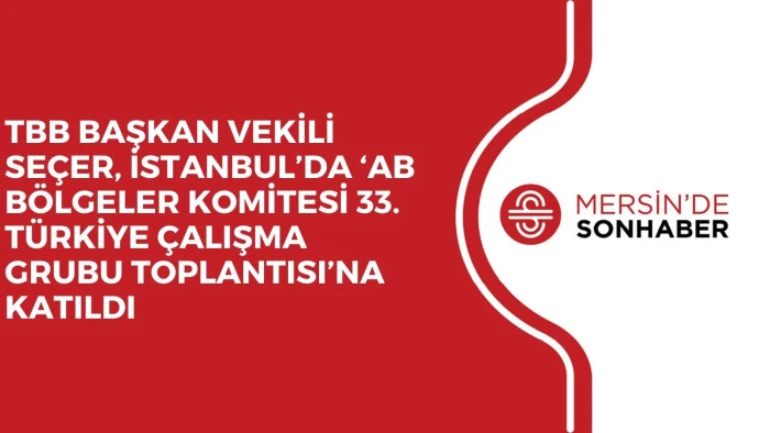 TBB BAŞKAN VEKİLİ SEÇER, İSTANBUL’DA ‘AB BÖLGELER KOMİTESİ 33. TÜRKİYE ÇALIŞMA GRUBU TOPLANTISI’NA KATILDI