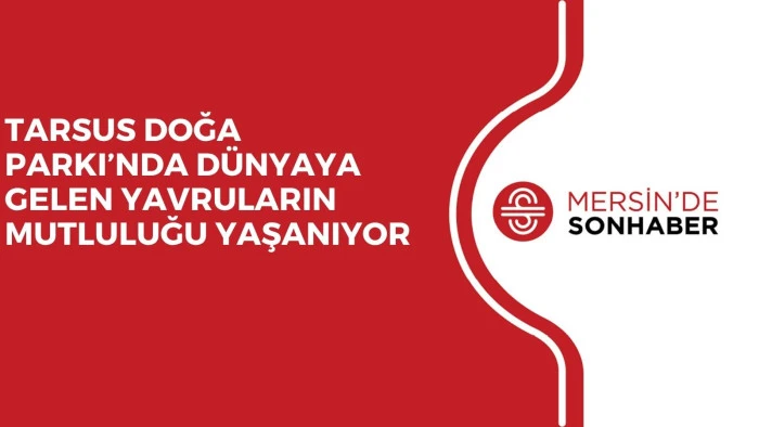 TARSUS DOĞA PARKI’NDA DÜNYAYA GELEN YAVRULARIN MUTLULUĞU YAŞANIYOR