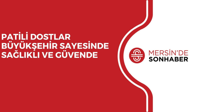 PATİLİ DOSTLAR BÜYÜKŞEHİR SAYESİNDE SAĞLIKLI VE GÜVENDE