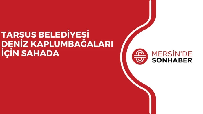 TARSUS BELEDİYESİ DENİZ KAPLUMBAĞALARI İÇİN SAHADA