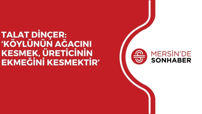 TALAT DİNÇER: ‘KÖYLÜNÜN AĞACINI KESMEK, ÜRETİCİNİN EKMEĞİNİ KESMEKTİR’