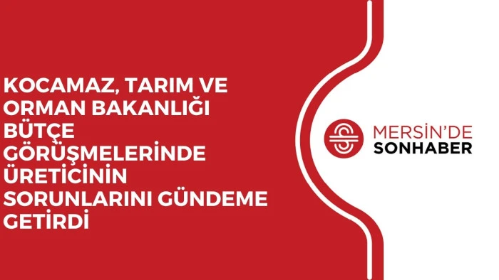 KOCAMAZ, TARIM VE ORMAN BAKANLIĞI BÜTÇE GÖRÜŞMELERİNDE ÜRETİCİNİN SORUNLARINI GÜNDEME GETİRDİ