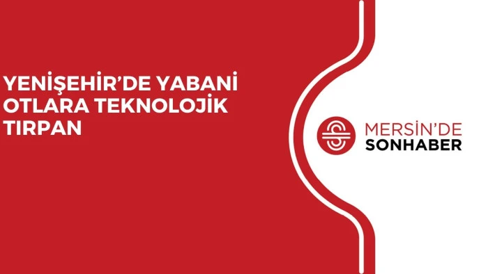 YENİŞEHİR&rsquo;DE YABANİ OTLARA TEKNOLOJİK TIRPAN