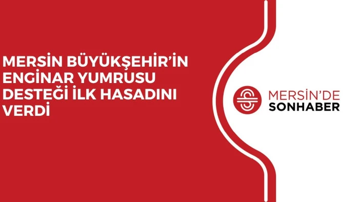 MERSİN B&Uuml;Y&Uuml;KŞEHİR&rsquo;İN ENGİNAR YUMRUSU DESTEĞİ İLK HASADINI VERDİ 